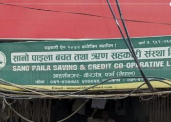 वीरगञ्जको सानो पाइला सहकारीका सञ्चालकहरूको सम्पत्ति रोका गर्न माग