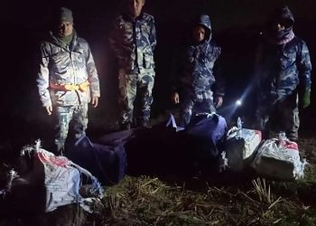 पर्सामा धुताहा खोलाबाट १२० केजी गाँजा बरामद