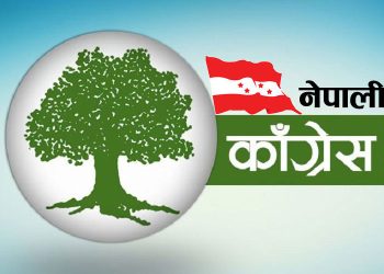 प्रतिनिधि सभा सदस्य निर्वाचनमा अहिलेसम्म कांग्रेसका १४ उम्मेदवार मात्र विजयी